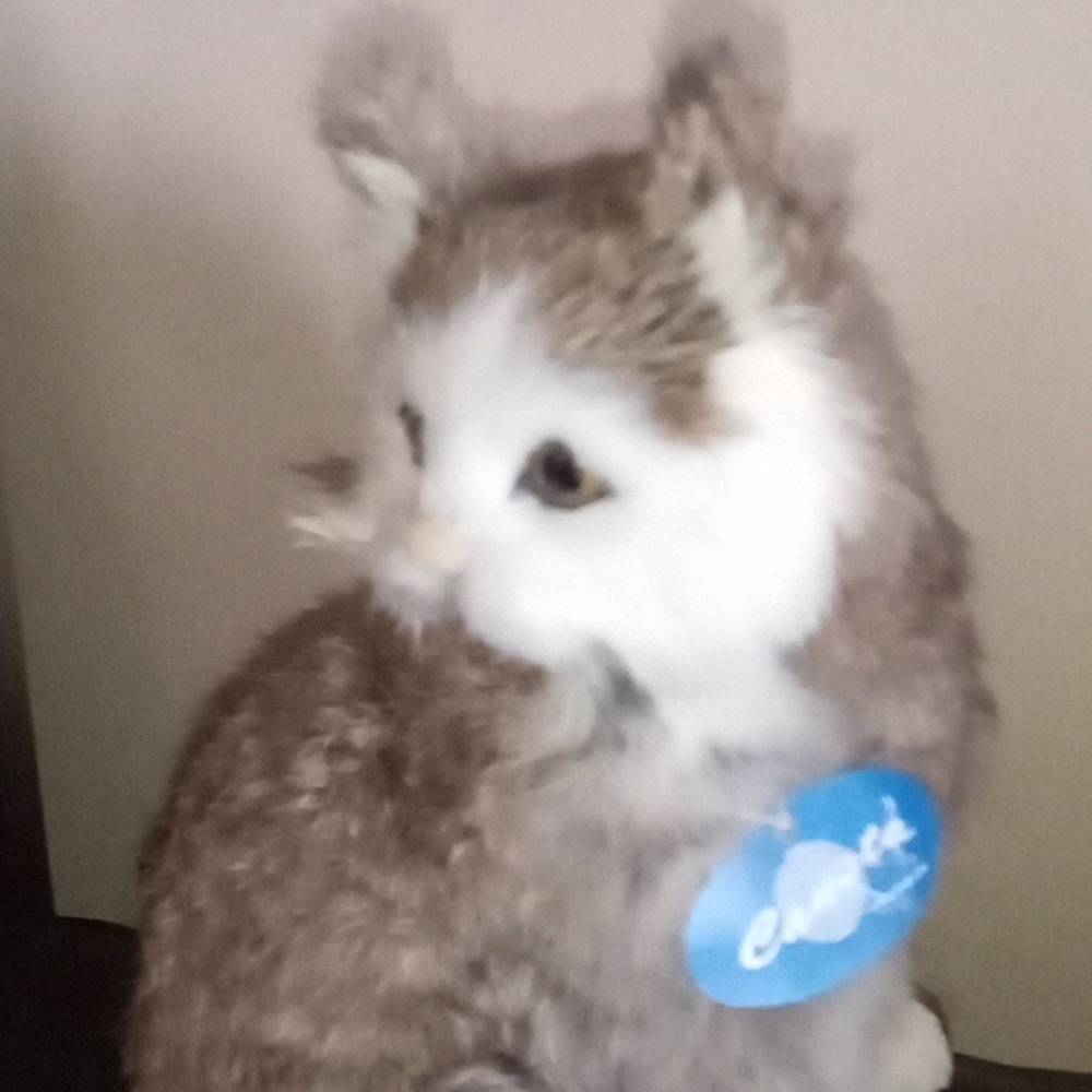 Vintage Realistic Real Fur Cat - Picture 6 of 17